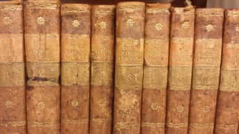 Emma Ramos - Finanzas Públicas